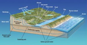 Saltwater Intrusion, Miami, New York City, New Orleans, Alpha Water & Power, Water Management, Freshwater Aquifers, Water Security, Water Conservation, Sustainable Water Management
